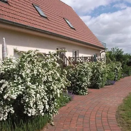 Apartmán Gemuetliche In Am Mueritzsee