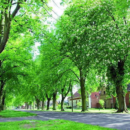 In Am Mueritzsee 아파트