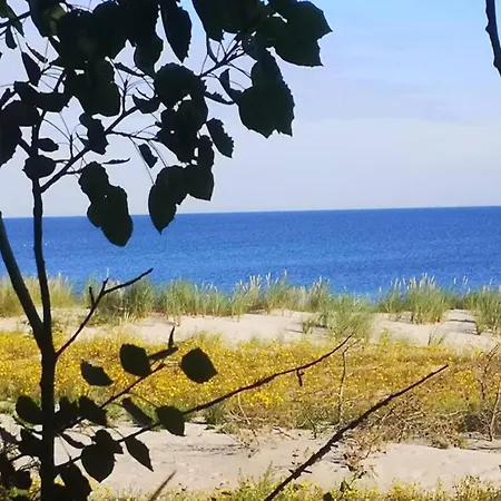 In Am Mueritzsee 아파트 *