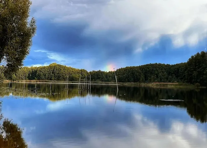 Lejlighed In Am Mueritzsee Buchholz (Mecklenburg-Vorpommern)